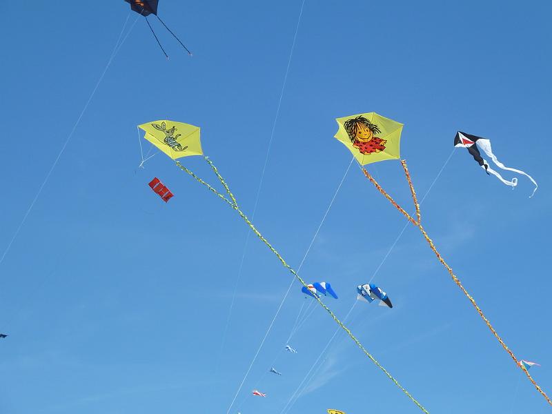 Fanø 2010 064.JPG